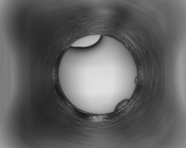X0000097990134200803241029