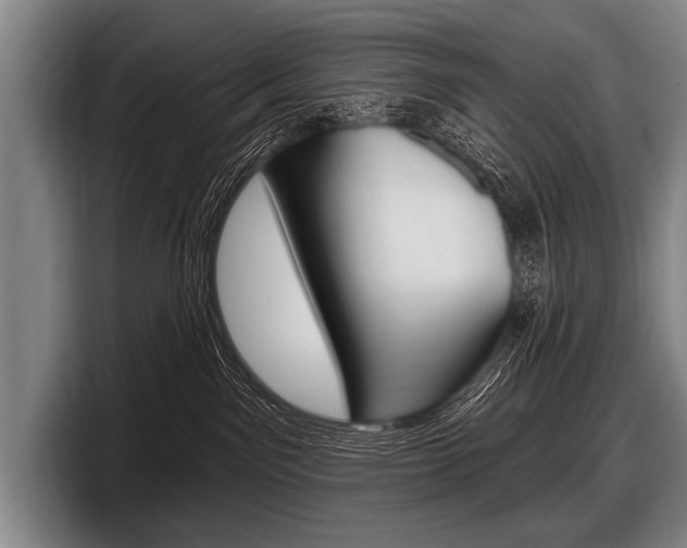 X0000097990141200803241029