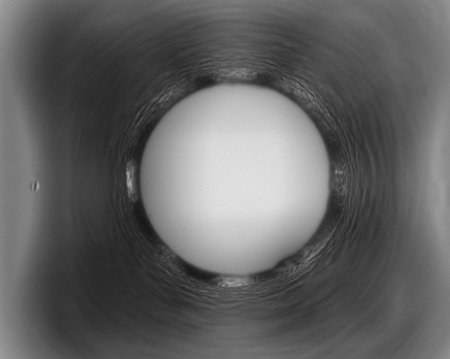 X0000097990143200803241029