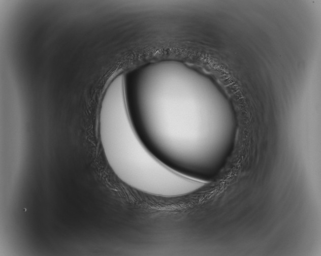 X0000097990144200803241029