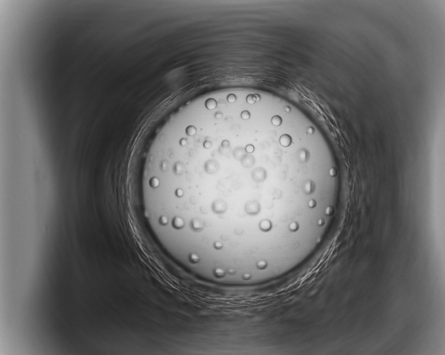 X0000097990145200803241028