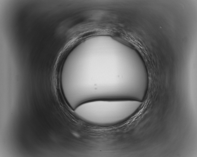 X0000097990149200803241028