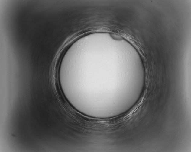 X0000097990151200803241028