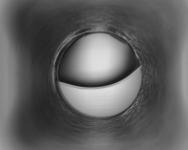 X0000097990152200803241028