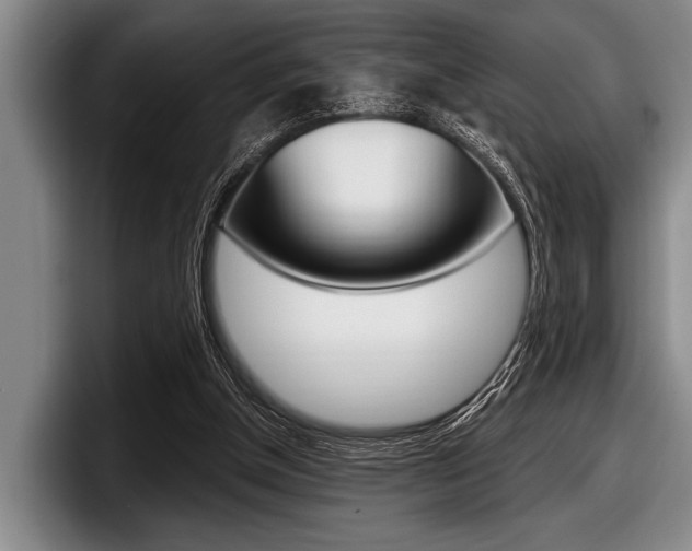 X0000097990154200803241028