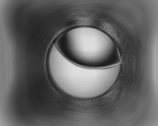 X0000097990156200803241028