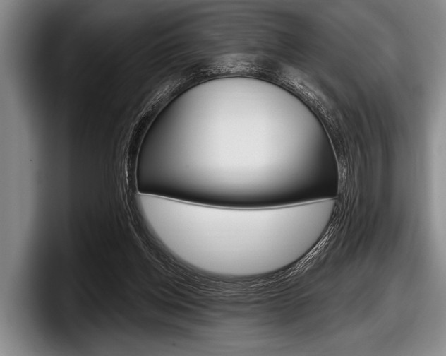 X0000097990158200803241028