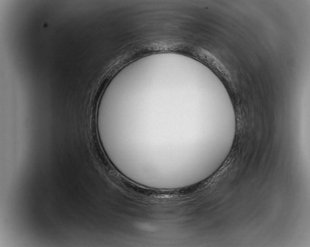 X0000097990163200803241029