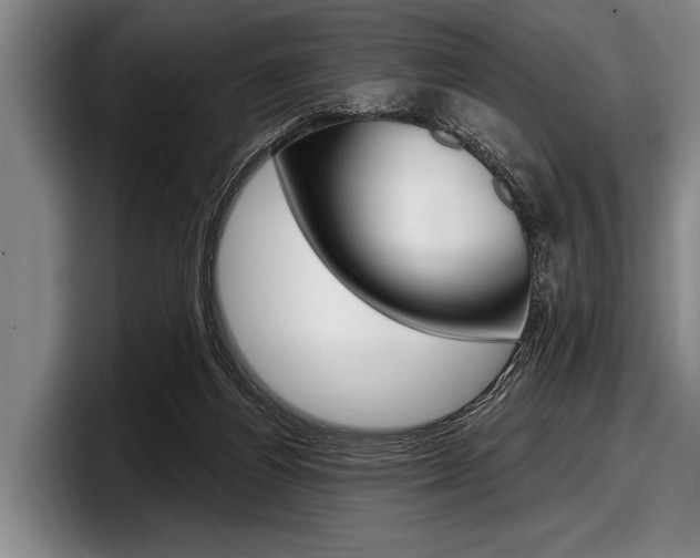 X0000097990164200803241029
