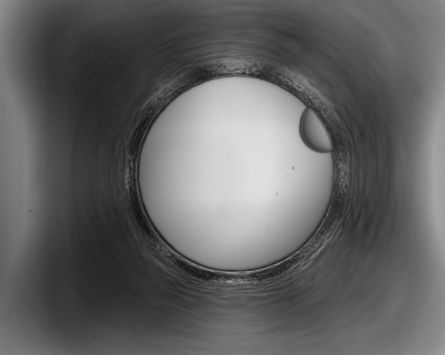 X0000097990165200803241029