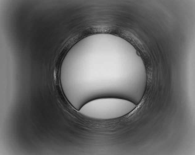 X0000097990166200803241029