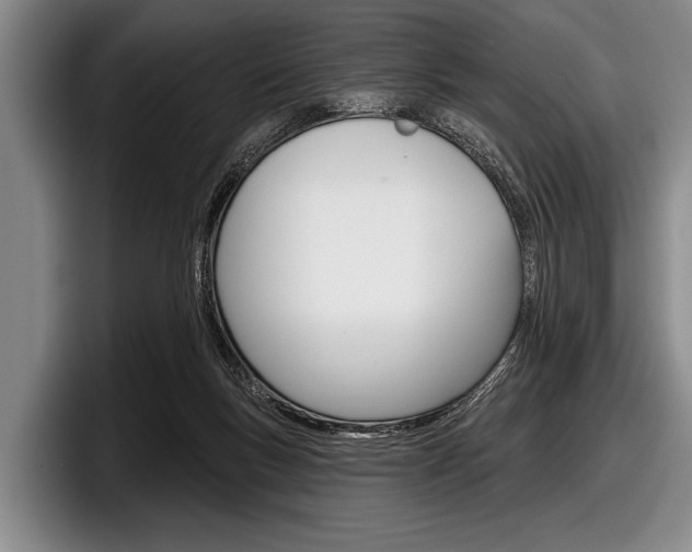 X0000097990167200803241029