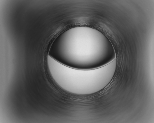 X0000097990168200803241029