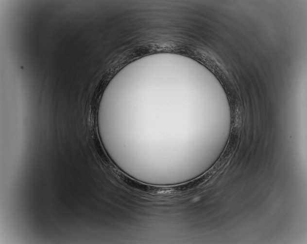 X0000097990173200803241029