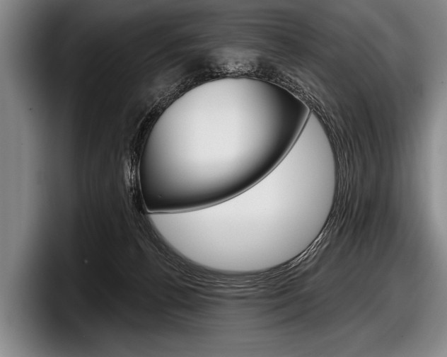 X0000097990176200803241029