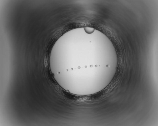 X0000097990177200803241029