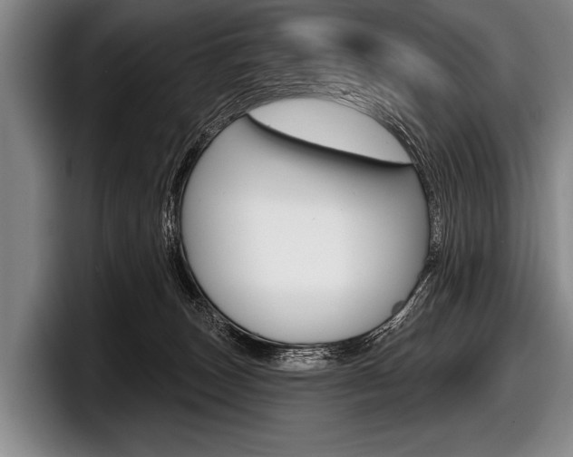X0000097990179200803241029