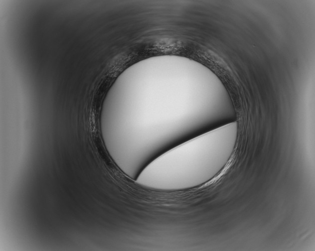 X0000097990182200803241029