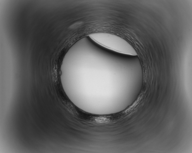 X0000097990183200803241029