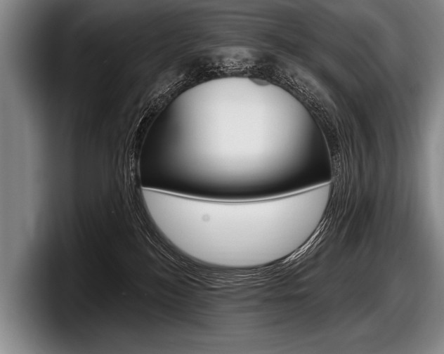 X0000097990184200803241029