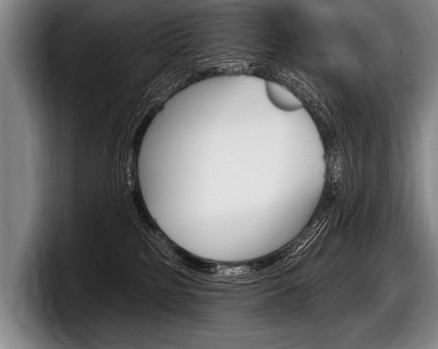 X0000097990185200803241029