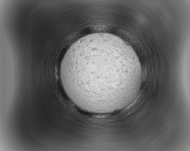 X0000097990187200803241029