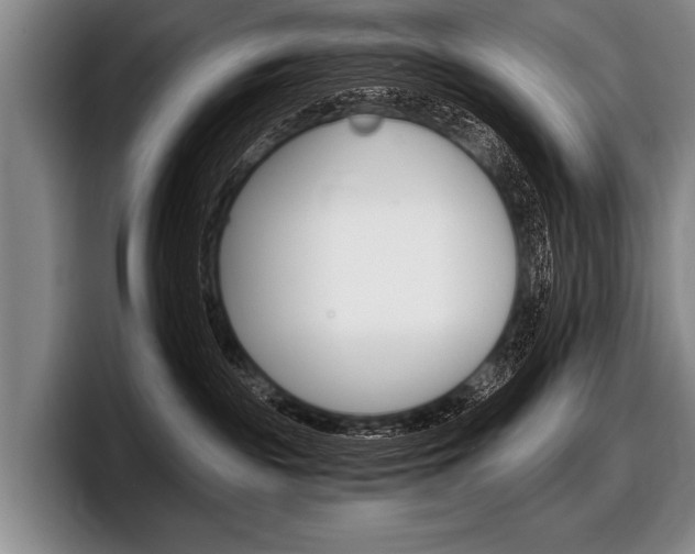 X0000097990189200803241029