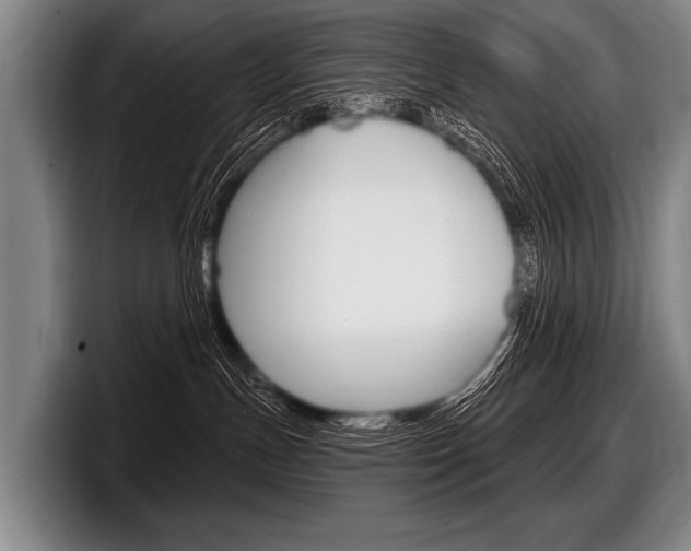 X0000097990191200803241029