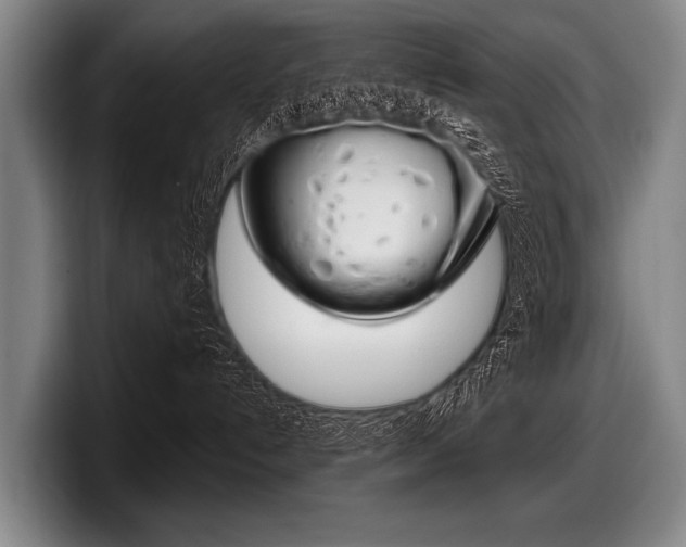 X0000097990192200803241029