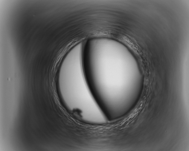 X0000097990193200803241028