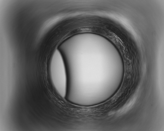 X0000097990194200803241028