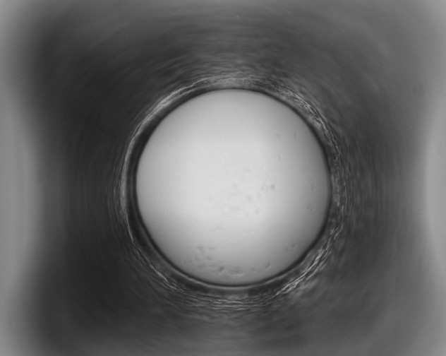 X0000097990196200803241028