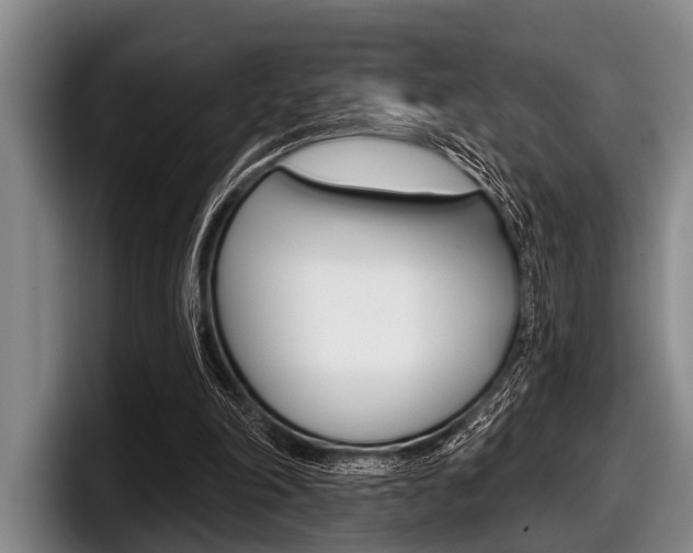 X0000097990198200803241028