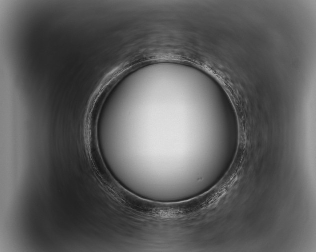 X0000097990199200803241028