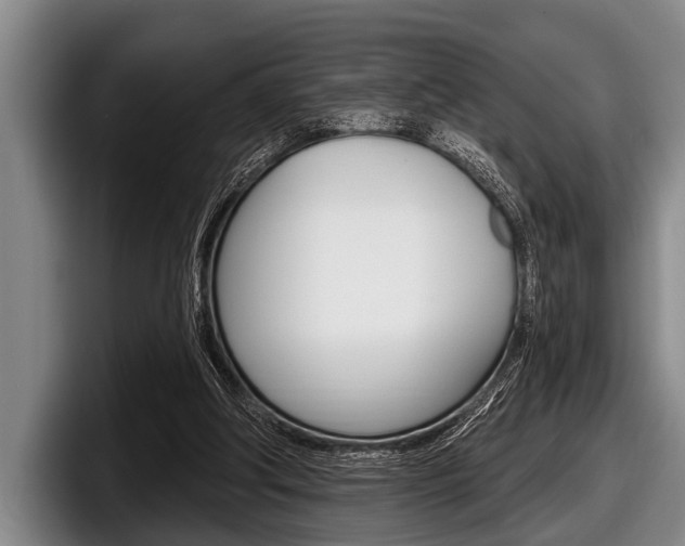 X0000097990202200803241028