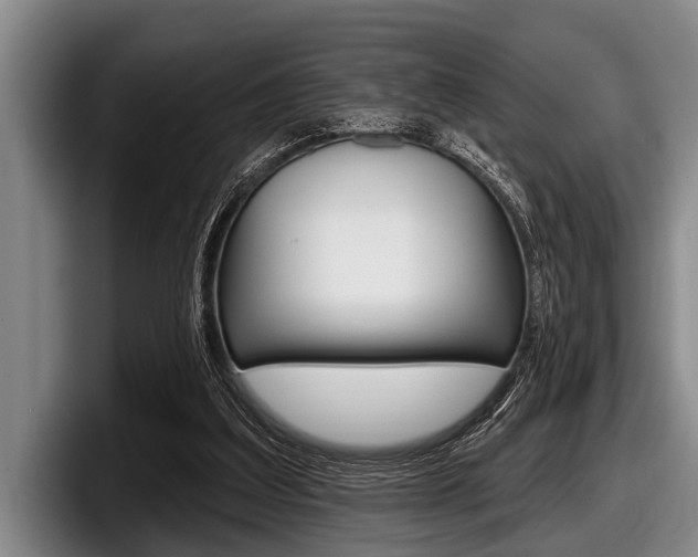 X0000097990203200803241028