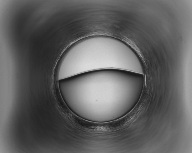 X0000097990204200803241028