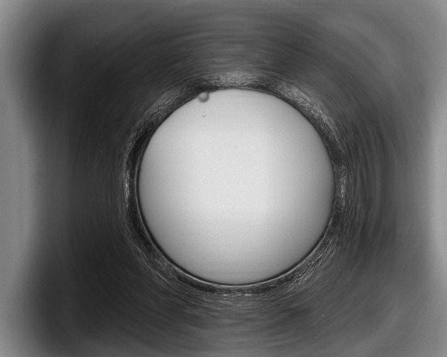 X0000097990206200803241028
