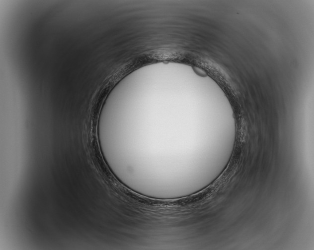 X0000097990210200803241028