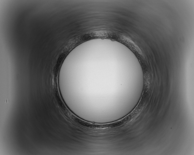 X0000097990213200803241028