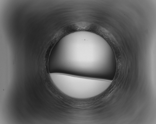X0000097990215200803241028