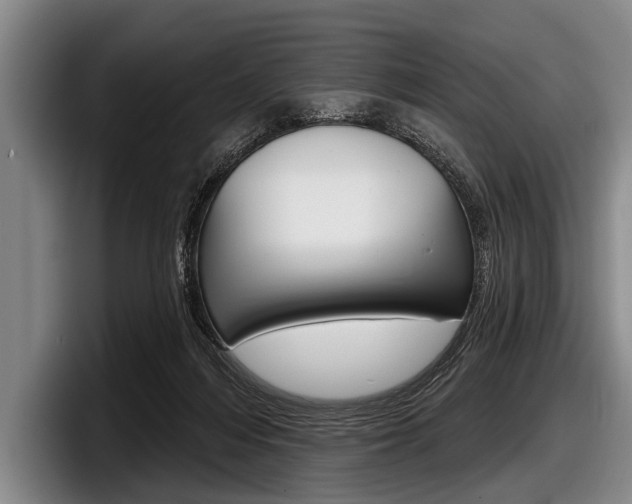 X0000097990216200803241028