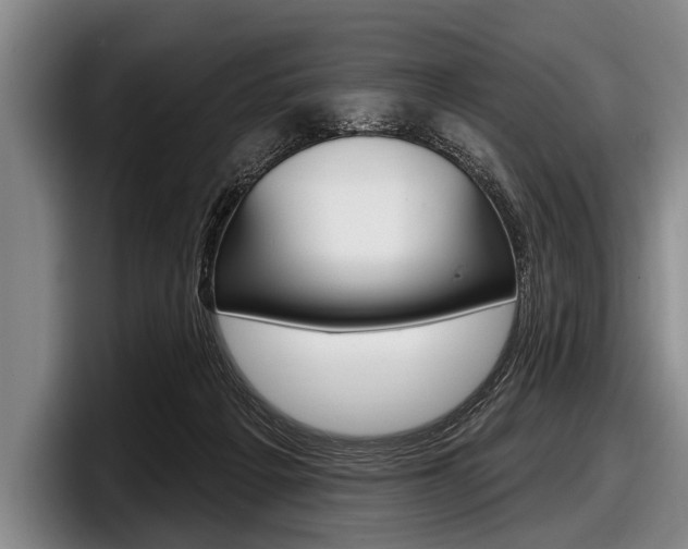 X0000097990217200803241028