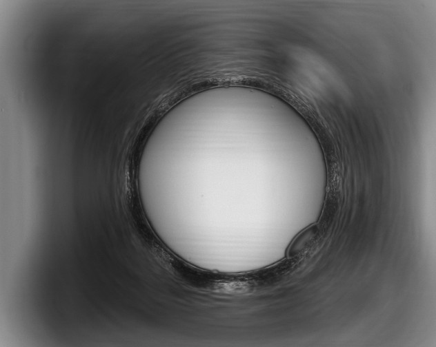X0000097990220200803241028