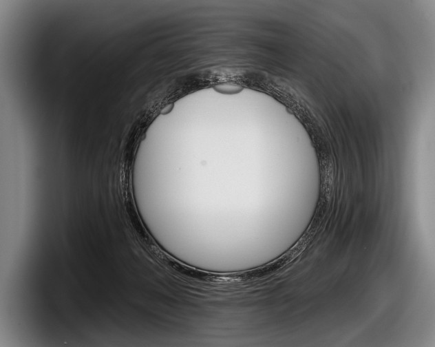 X0000097990222200803241028