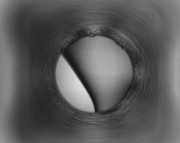 X0000097990223200803241028