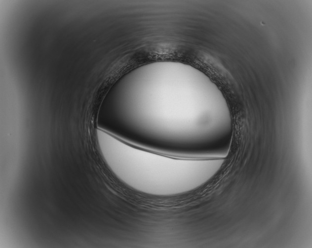 X0000097990225200803241028