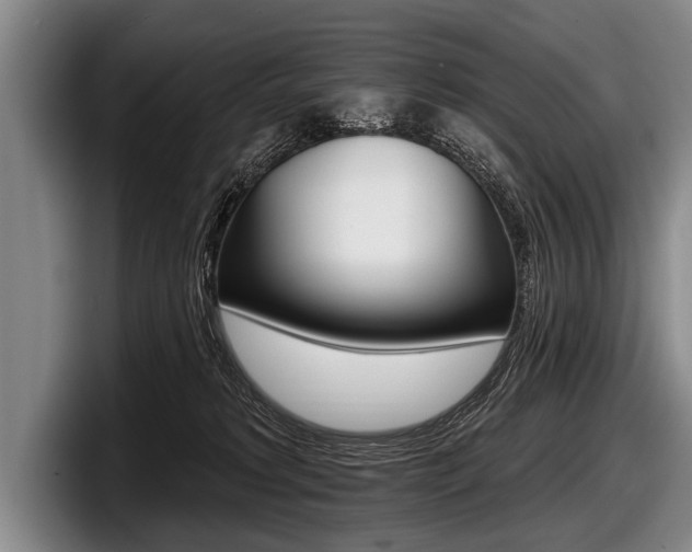 X0000097990229200803241028