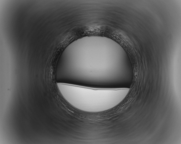 X0000097990231200803241028