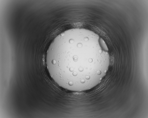 X0000097990238200803241028